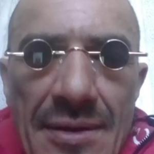 Stelsy
